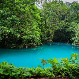 Природа Коста Рики (58 фото)
