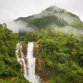 Природа Шри Ланки (54 фото)