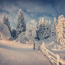 Природа снег (53 фото)