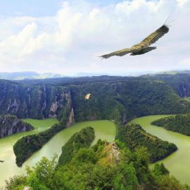 Природа с высоты птичьего полета (58 фото)