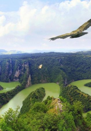 Природа с высоты птичьего полета (58 фото)