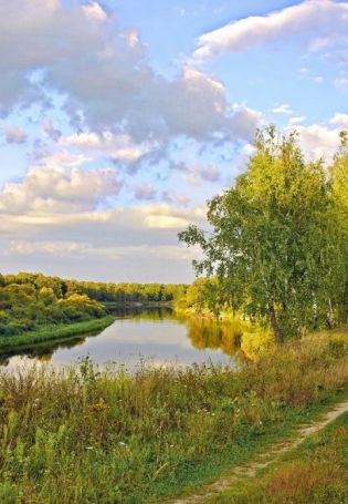 Природа средней полосы России (58 фото)