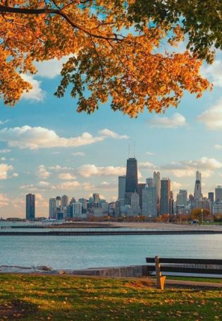 Чикаго природа (53 фото)