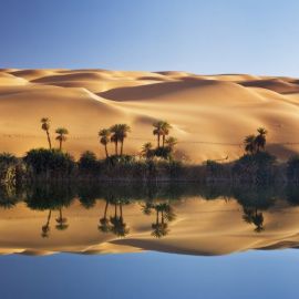 Оазис в пустыне (55 фото)