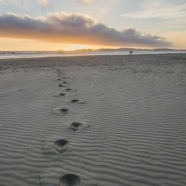 Следы на песке (47 фото)