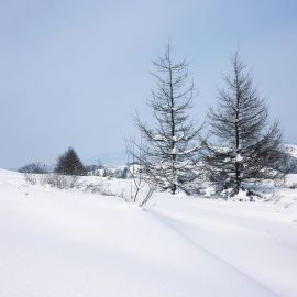 Чистый снег (58 фото)
