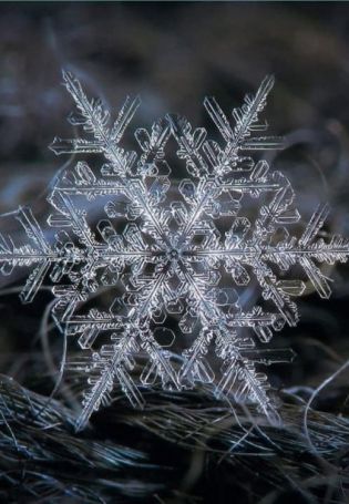 Снежинка макро (58 фото)