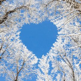 Сердце на снегу (53 фото)