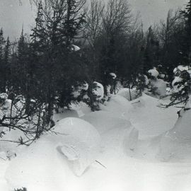 Перевал Дятлова Экспедиция (51 фото)