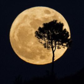 Большая Луна (58 фото)