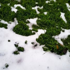 Снег на земле (54 фото)