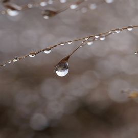 Апрель дождь (58 фото)