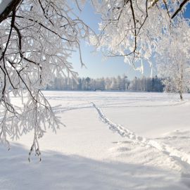 Белый снег (57 фото)