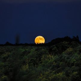 Желтая Луна (54 фото)