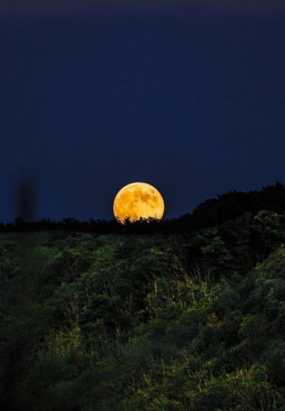 Желтая Луна (54 фото)