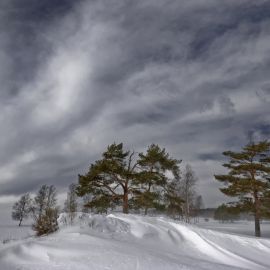 Снежный Буран (55 фото)