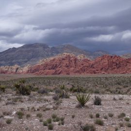 Пустыня Невада (57 фото)