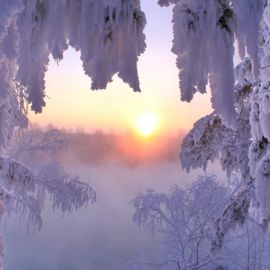 Красивое морозное утро (58 фото)