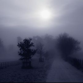 Сильный туман (56 фото)