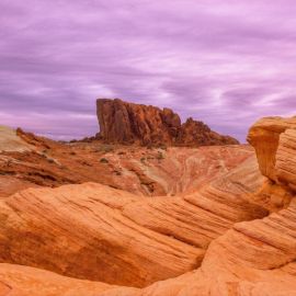 Каменистая пустыня (56 фото)
