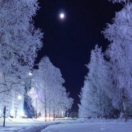 Морозная ночь (57 фото)