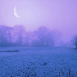 Синий туман (56 фото)