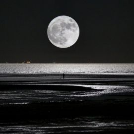 Черная Луна (54 фото)