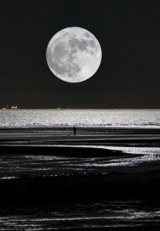 Черная Луна (54 фото)
