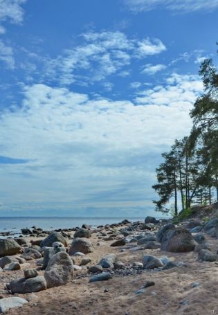 Сестрорецк финский залив (59 фото)