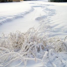 Снежный Покров (57 фото)
