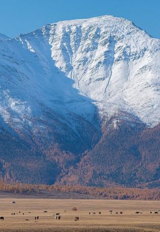 Северо Чуйский хребет (56 фото)