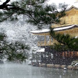 Снег в Японии (52 фото)