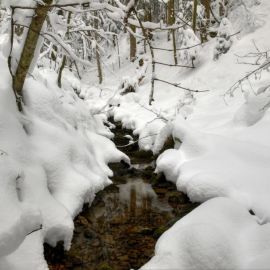 Талый снег (57 фото)