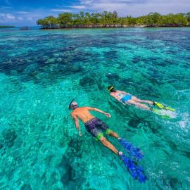 Мальдивы под водой (59 фото)