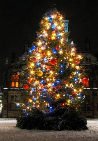 Новогодняя елка ночью (49 фото)
