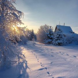 Снегопад в деревне (58 фото)