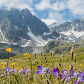Красивые кавказские горы (60 фото)