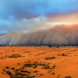 Буря в пустыне (60 фото)