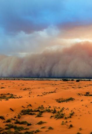 Буря в пустыне (60 фото)