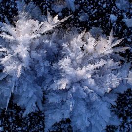 Ледяной цветок (58 фото)