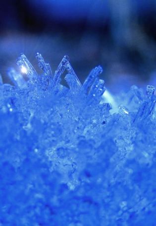 Кристаллы льда (53 фото)