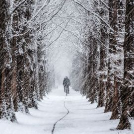 Снежная тропинка (50 фото)
