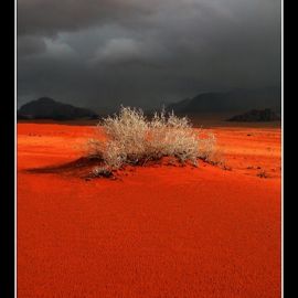 Красная пустыня (51 фото)