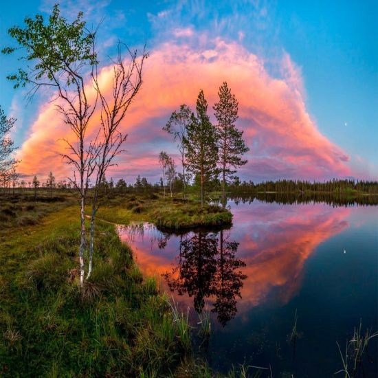 Северная природа России (57 фото)