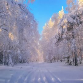 Снежный парк (45 фото)