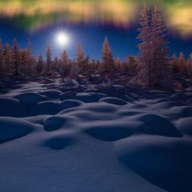 Ночь Луна снег (53 фото)