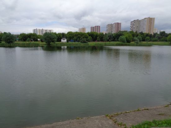 Ждановский пруд (58 фото)