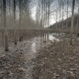 Страшное болото (57 фото)