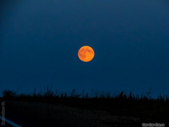 Оранжевая Луна (55 фото)