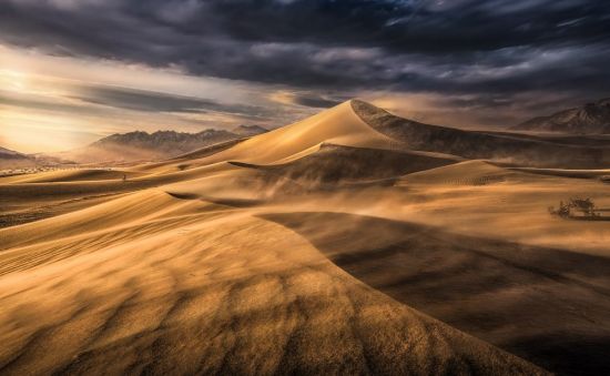 Ветер в пустыне (51 фото)